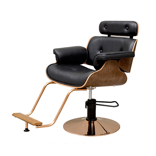 Professional Hydraulic Salon Styling Chair